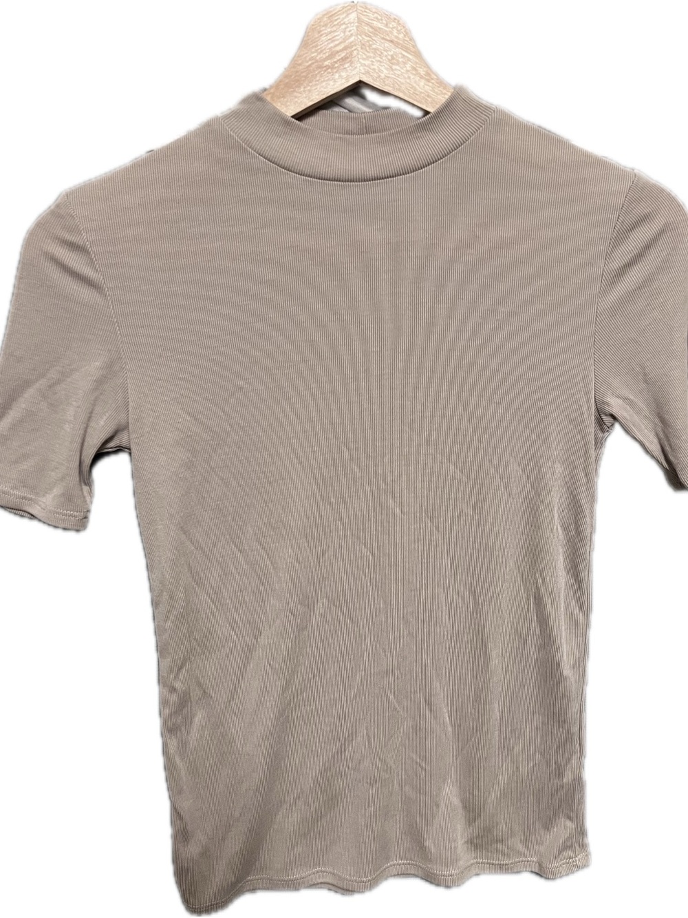 Women Silk like Stretchy Short-Sleeve Mock Neck Shirt in Taupe